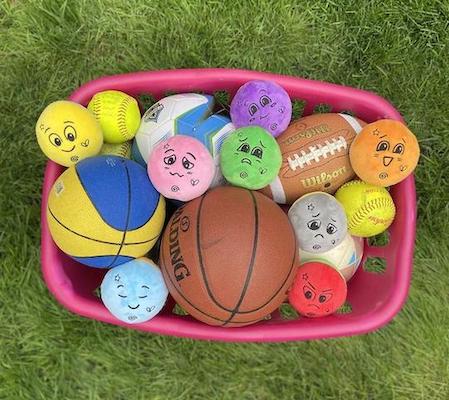 Bucket of sports balls and FeelLinks dolls