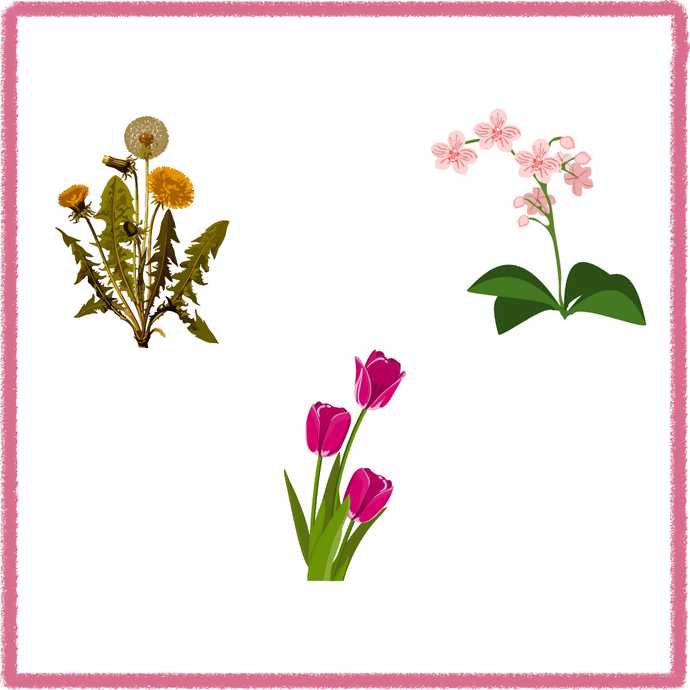 Is Your Child an Orchid, a Tulip or a Dandelion? Nurturing the highly sensitive or highly resilient child in your life